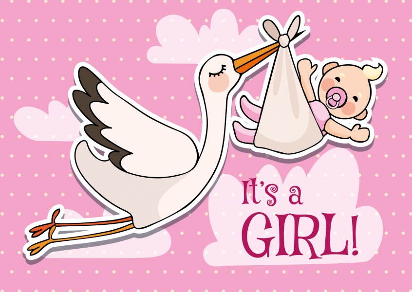 birth-family-baby-girl-pink-cute-congratulations-stork-4585_46.jpg