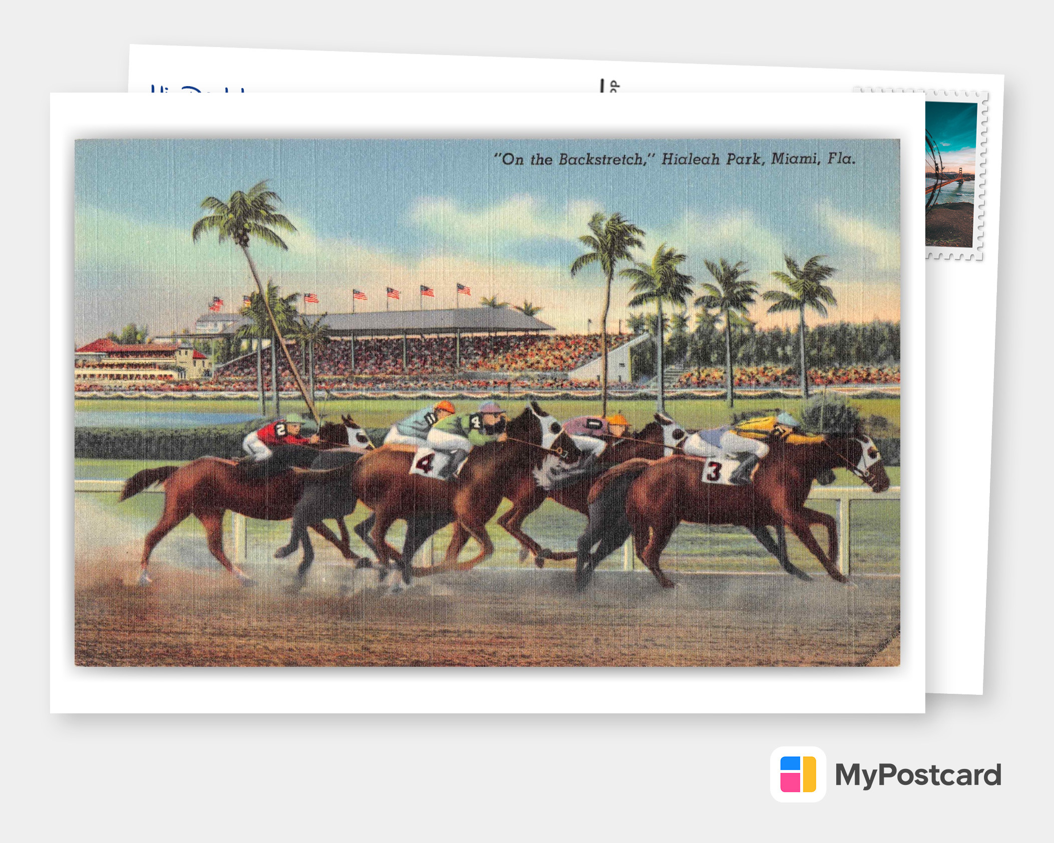 A Horse, A Horse! My Kingdom for a Horse! Postcard | Zazzle